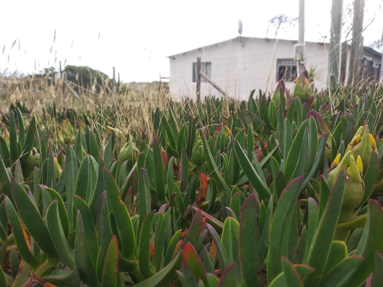 La Casa De Juan Villa Cuchilla Alta Luaran gambar